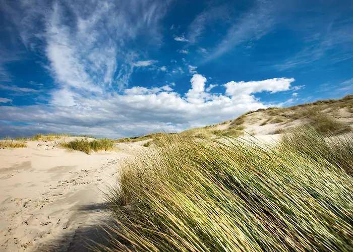 Duenenzeit 유이스트